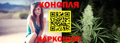 сатива Кунгур
